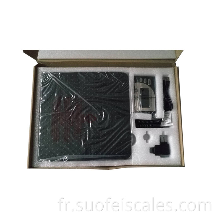 SF-884 Digital Weight Machine Parcel Expédition Postal 300kg 100g Échelle de plate-forme de pesée lourde